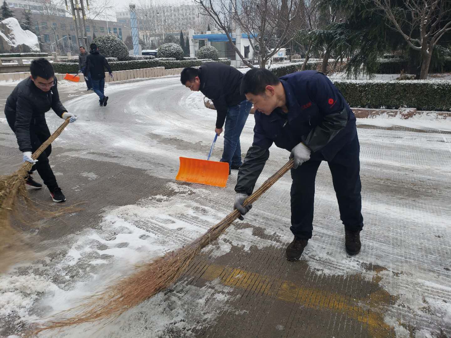 1003849272.jpg 1003849272.jpg